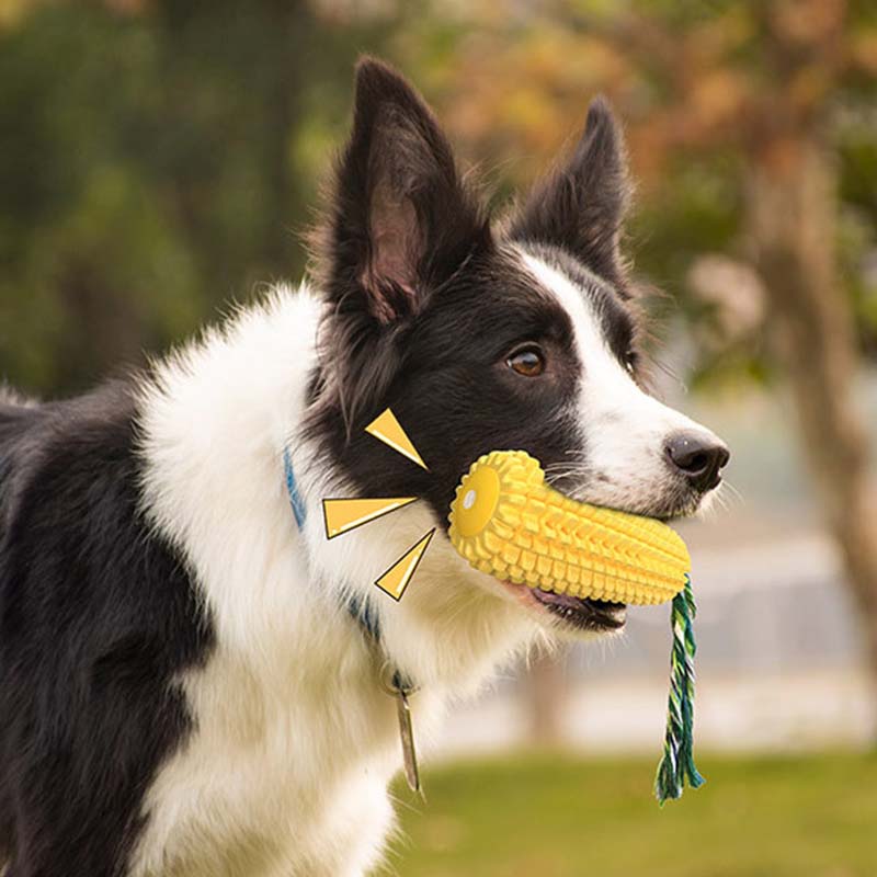 Hot Selling Large Size Corn Sh - Corn Dog Stick ulasan dan harga