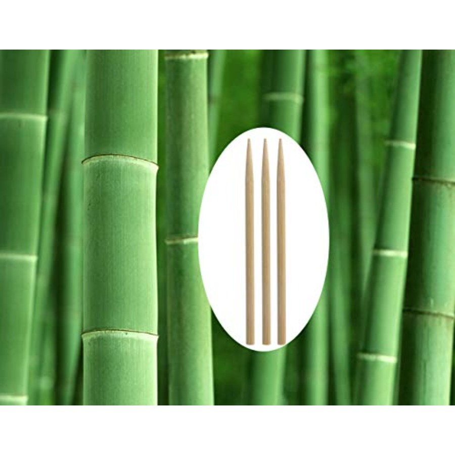 5.5 inch Thick Bamboo Sticks f - Corn Dog Stick ulasan dan harga